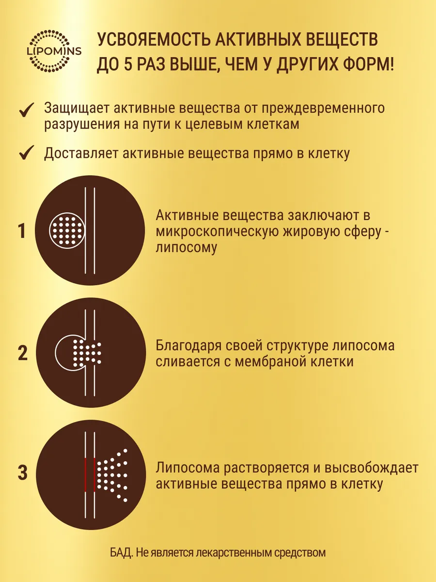 Липосомальный комплекс (при аллергии), капсулы, 60 шт.