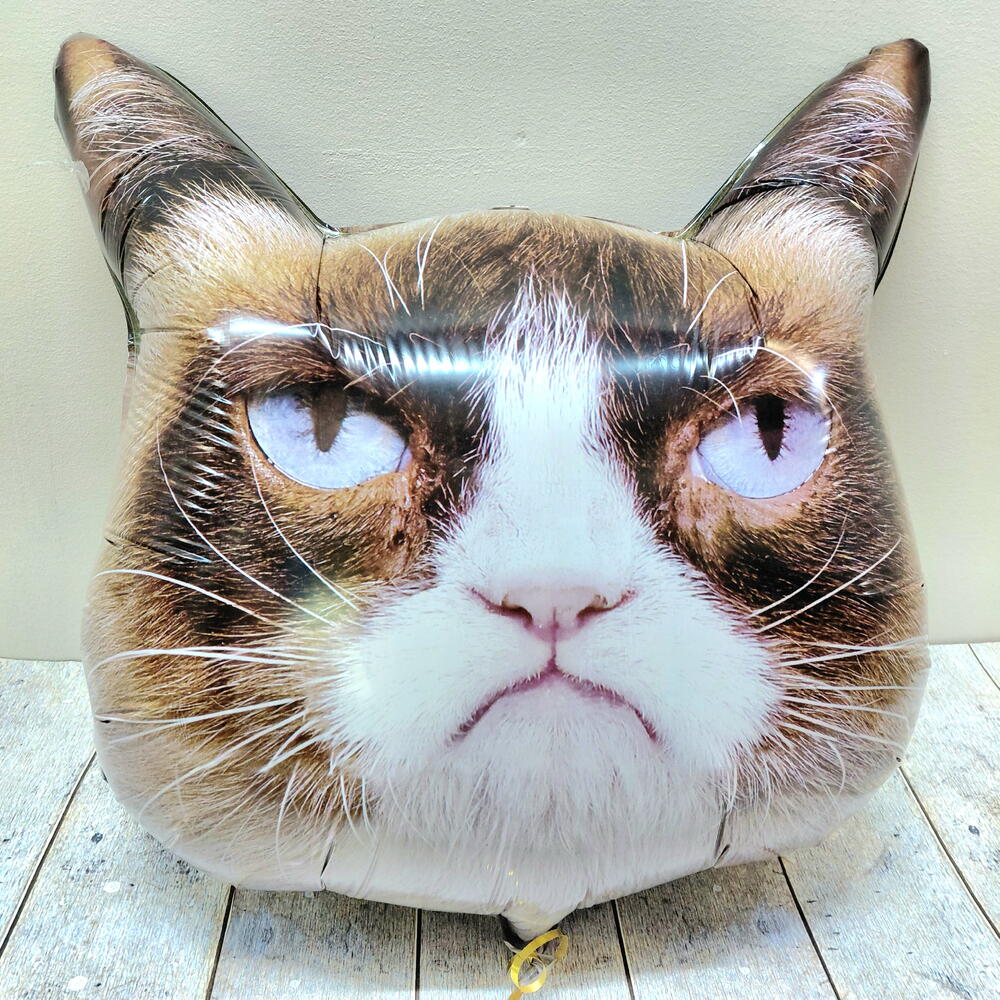 Воздушный шар Сердитый кот