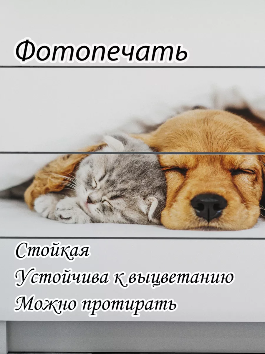 Комод деревянный для вещей и игрушек с фотопечатью