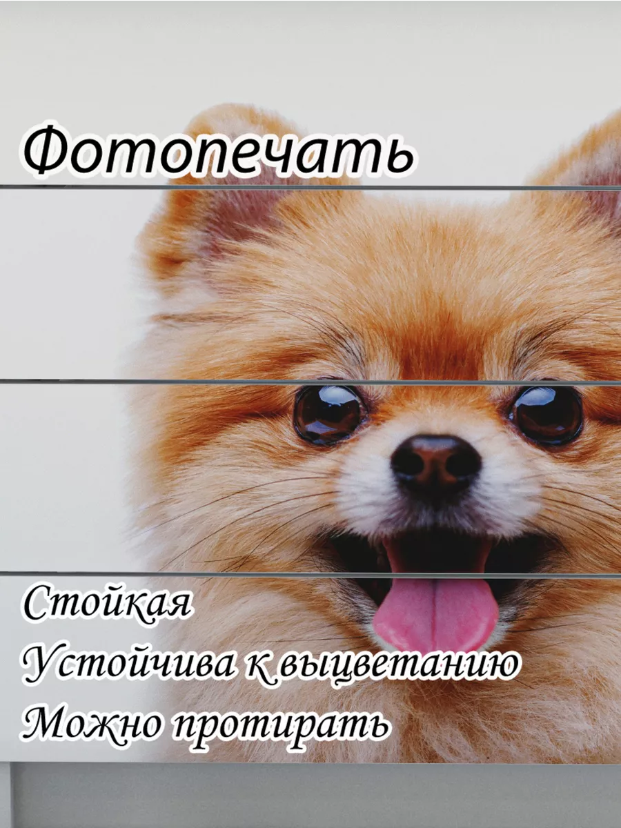 Комод деревянный для вещей и игрушек с фотопечатью