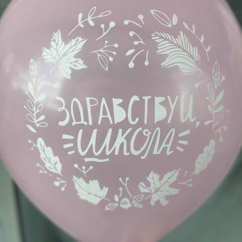 Шар "Здравствуй школа"