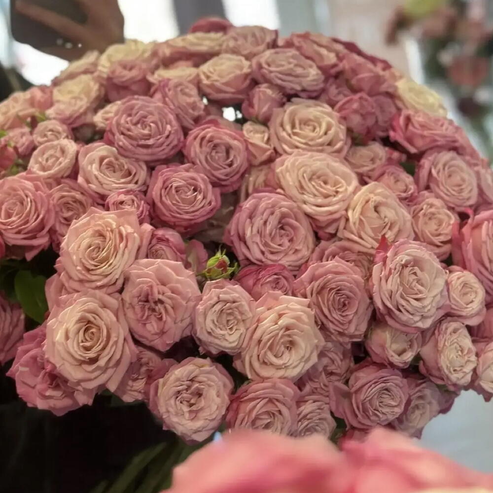 Букет из кустовых пионовидных роз 35 шт LOVE
