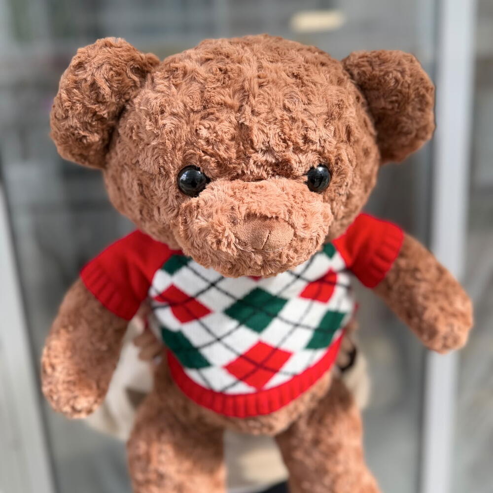 Мягкая игрушка медведь с пледом внутри🧸